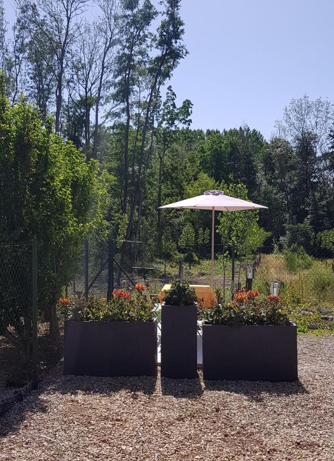 Agreable Petite Maison Proche Joigny Chamvres Exterior foto